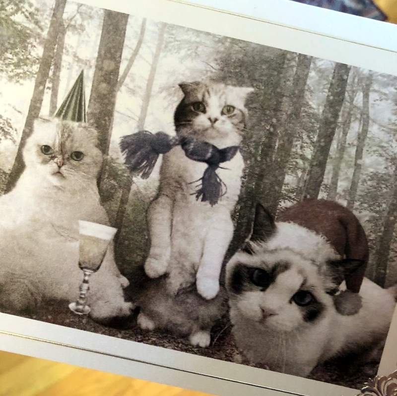 Taylor Swift's three cats on her 2020 Christmas card
