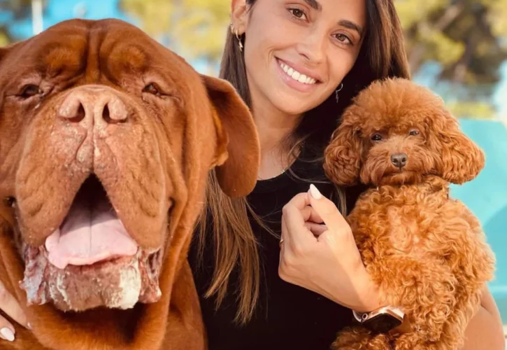 Antonela Roccuzzo Pets