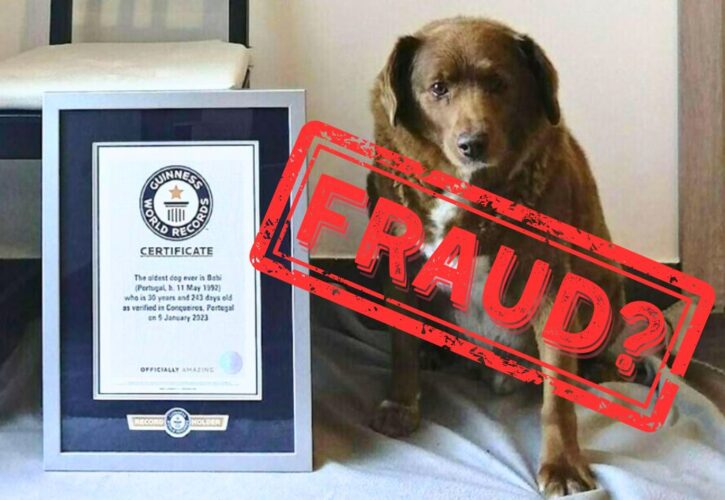 Bobi, the World’s Oldest Dog, Being Investigated for Fraud