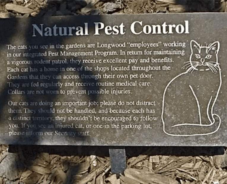 Disneyland sign explaining feral cats as pest control