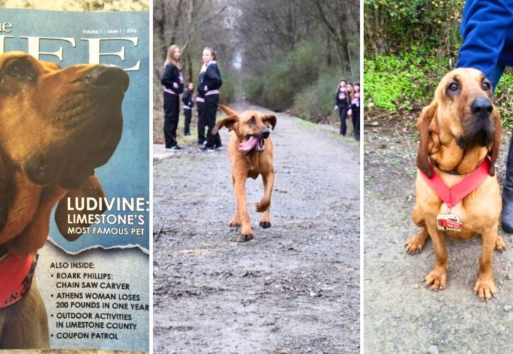 Dog Goes Out for a Pee, Ends up Finishing 7th in a Half-Marathon