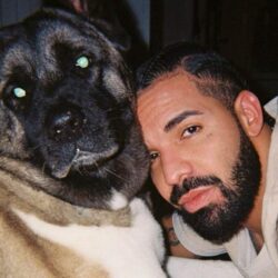 Drake Pets