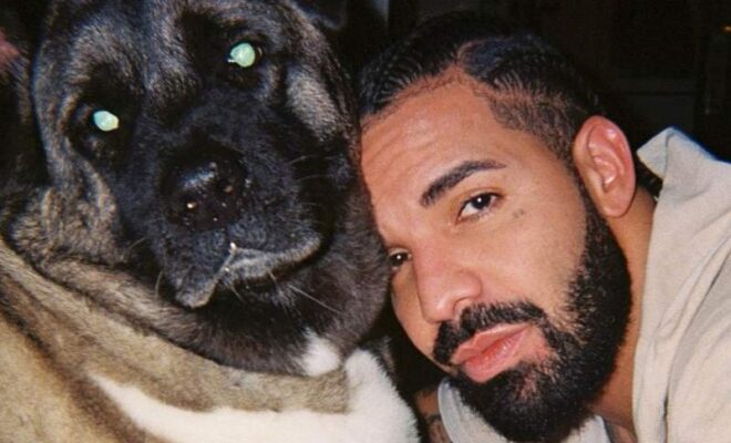 Drake Pets