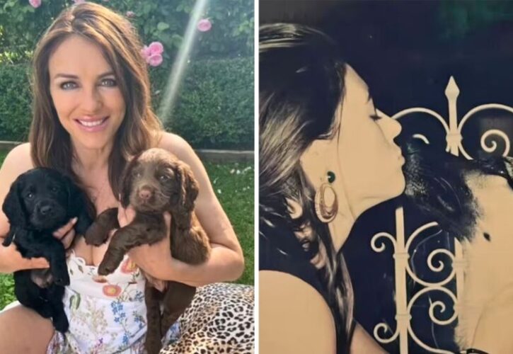Elizabeth Hurley’s First Dog, Nico, Was a Rescue She Helped Recover From Being Stabbed
