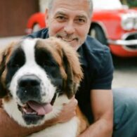 Amal Clooney's pet Rosie