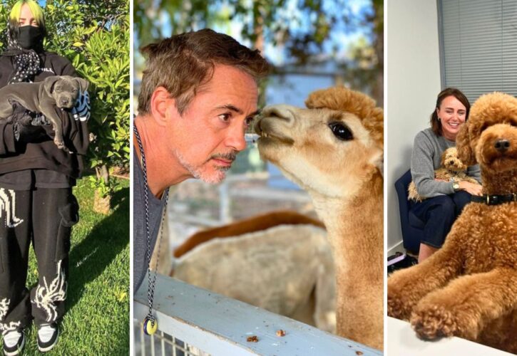 Golden Globe 2024 Winners: Meet Their Celebrity Pets!