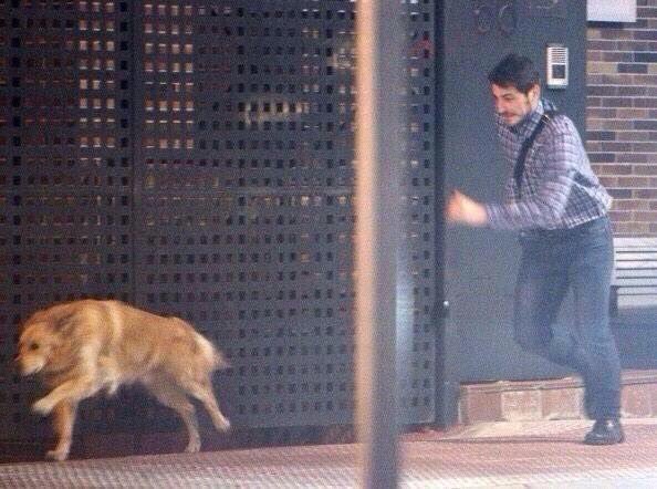 Iker Casillas Dog