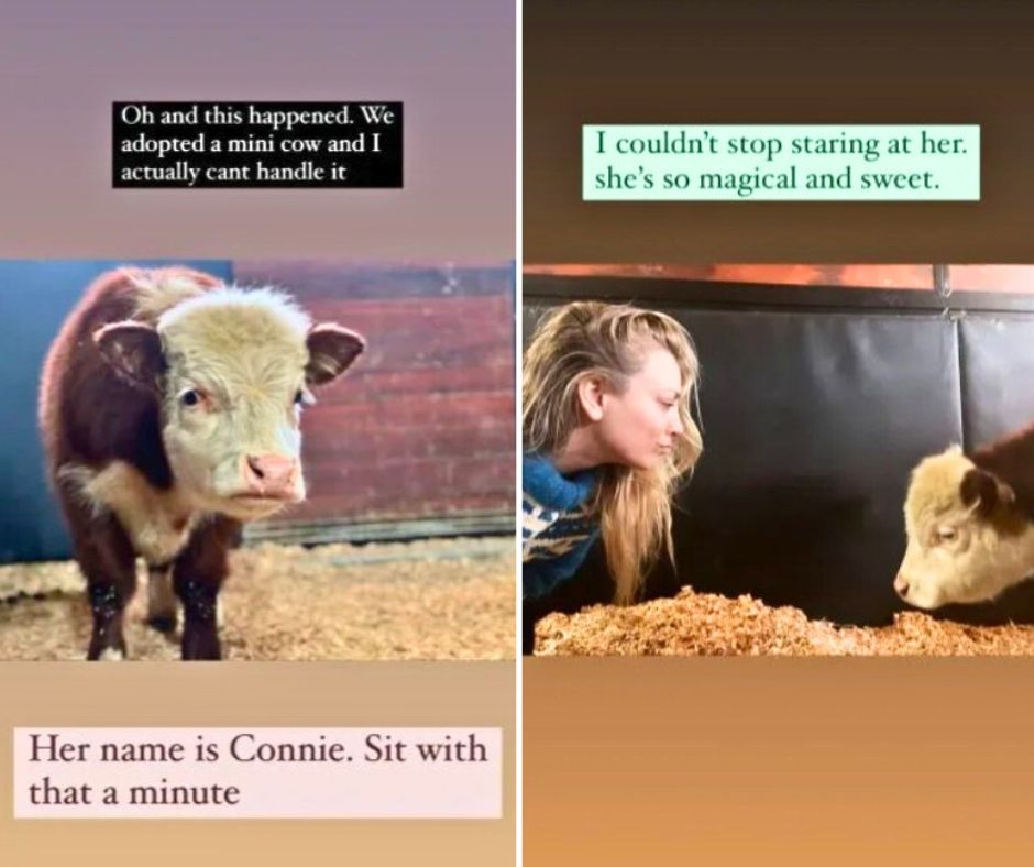 Kaley Cuoco adopted her cow Connie Cowstein in Decemeber 2021