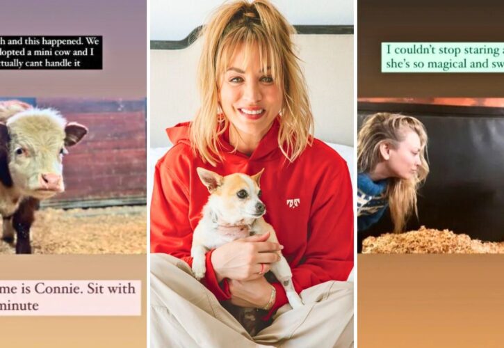Kaley Cuoco Adopted a Cow Named Connie Cowstein