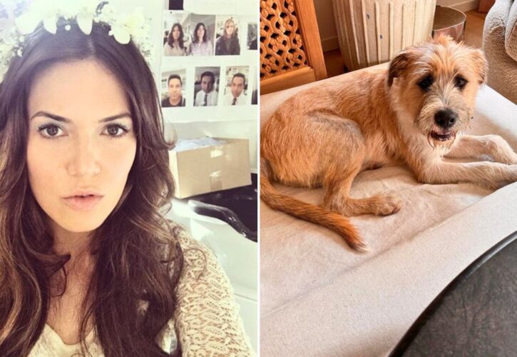 Mandy Moore Adopts a Sweet Street Dog Named Marshmallow
