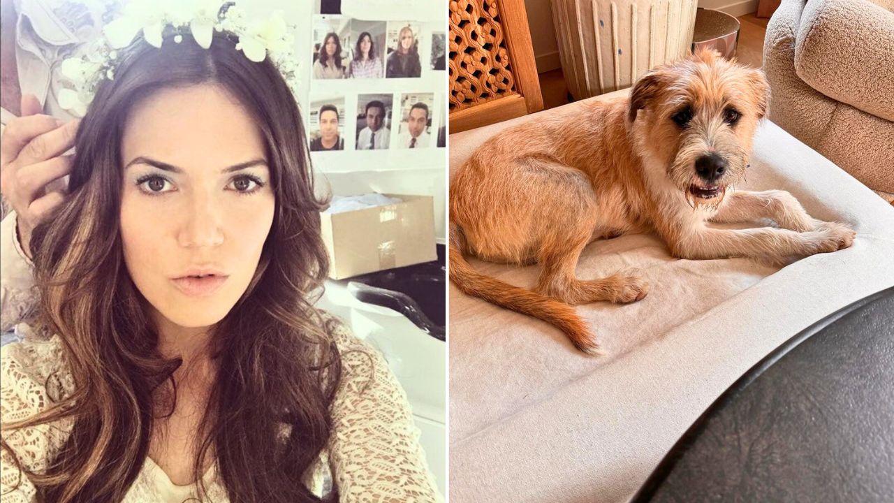 Mandy Moore Adopts a Sweet Street Dog Named Marshmallow