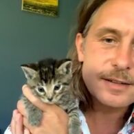 Mark Owen's pet Kittens