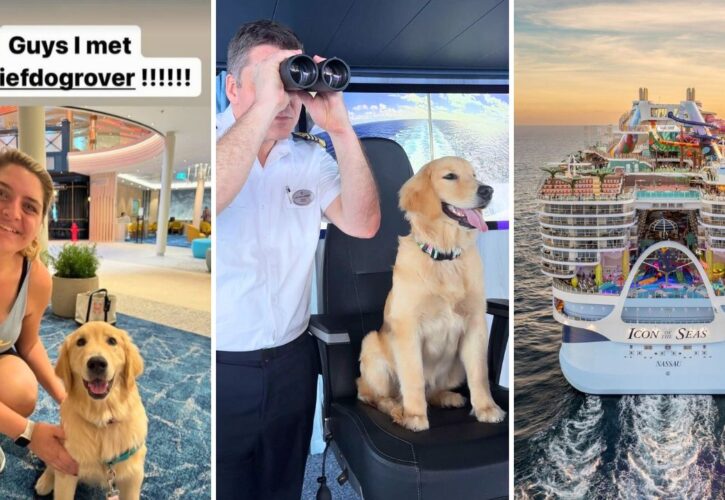 Meet Rover, the Chief Dog Officer for Royal Caribbean’s New Cruise Ship