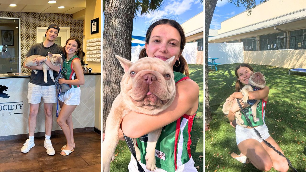 Millie Bobby Brown Adopts a French Bulldog Named Jabba