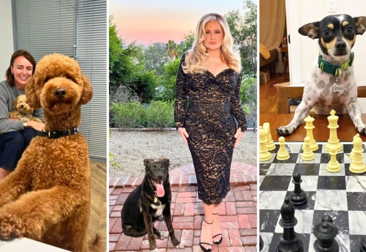Primetime Emmy Awards 2024 Winners: Meet Their Celebrity Pets!