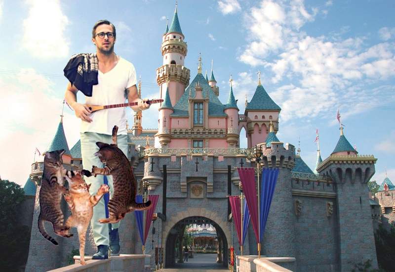 Ryan Gosling Disneyland feral cat army