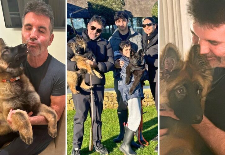 Simon Cowell Reveals His 5th Dog - A German Shepherd Puppy Named Pebbles