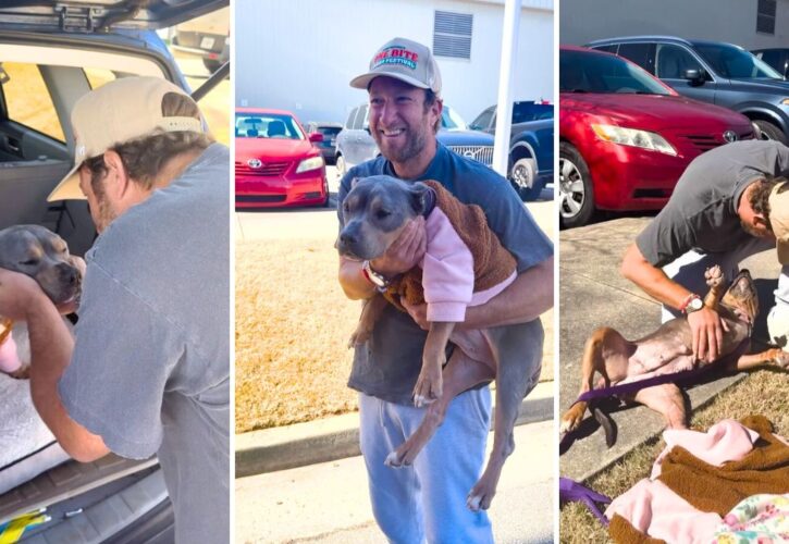 Barstool Sports Founder Dave Portnoy’s New Rescue Pitbull Is Already Giving Back