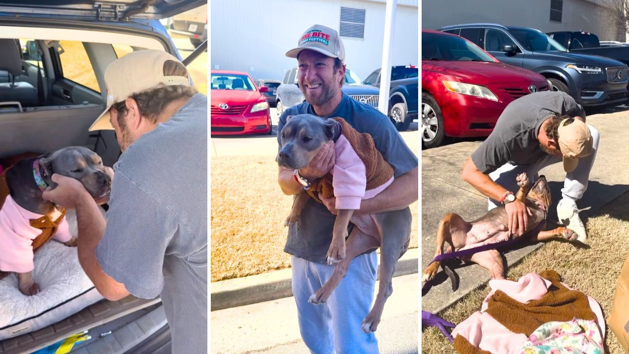 Barstool Sports Founder Dave Portnoy’s New Rescue Pitbull supporting dog rescue