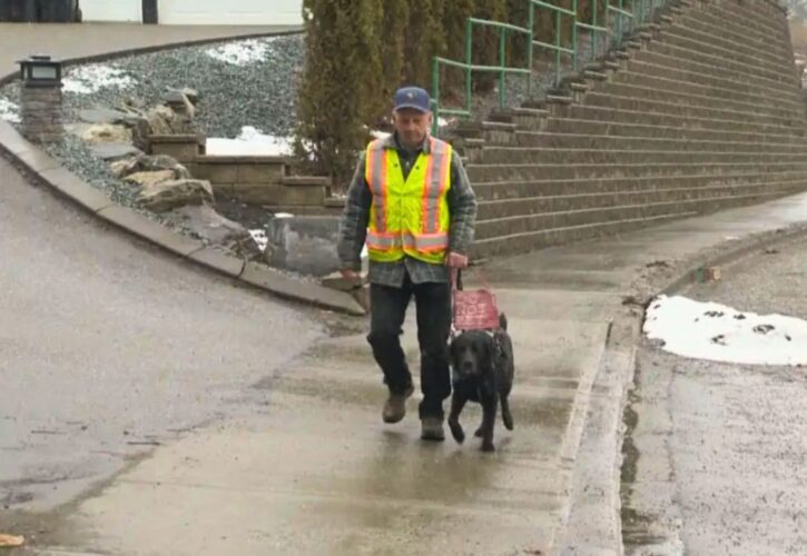 A Blind Senior Was Left Stranded by a Taxi – But His Service Dog Took Him Home