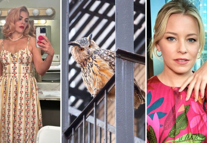 Celebrities and Fans Mourn the Death of Flaco the Famous Fugitive Owl of NYC