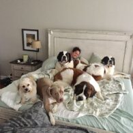 Colbie Caillat's pet Dog Family