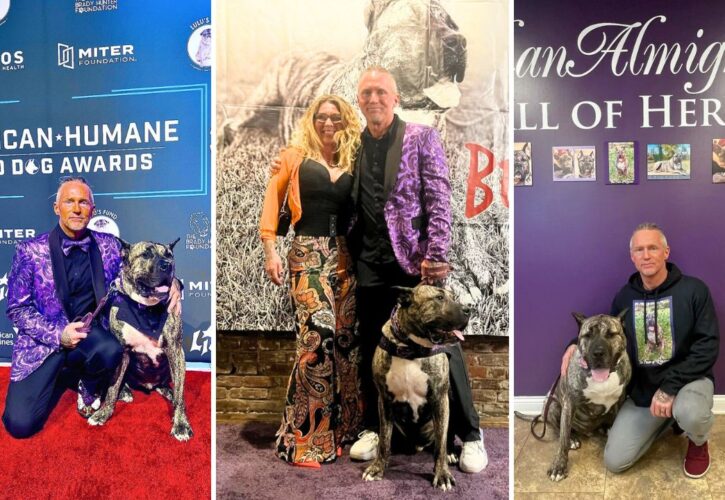 Interview With Ethan Almighty: Abuse Survivor Turned Prominent Canine Socialite, Whiskey Influencer, and Rescue Advocate