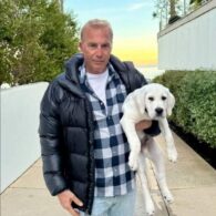 Kevin Costner's pet Labrador Puppy