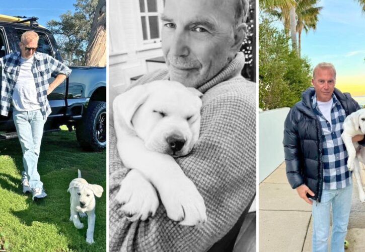 Kevin Costner Reveals New Labrador Puppy ‘I’m Already in Love With This Special Guy’