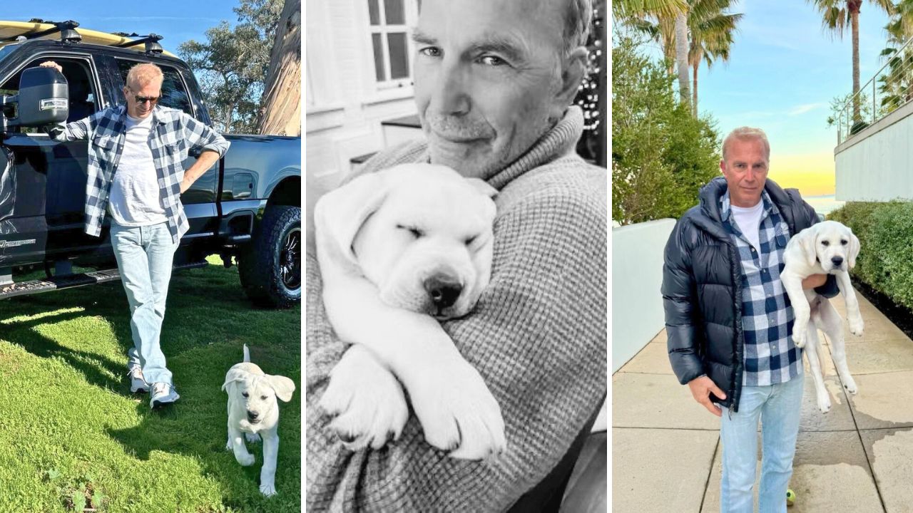 Kevin Costner adopts Labrador puppy
