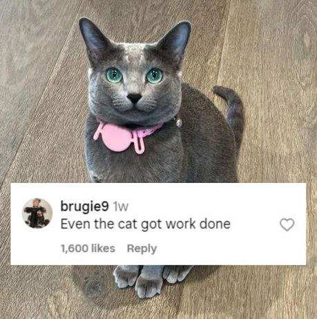 Khloe Kardashian grey cat photoshop facetuned