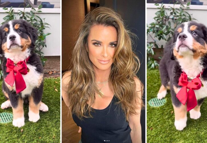 Kyle Richards Fosters Then Adopts a Bernese Mountain Dog Puppy From a Fan
