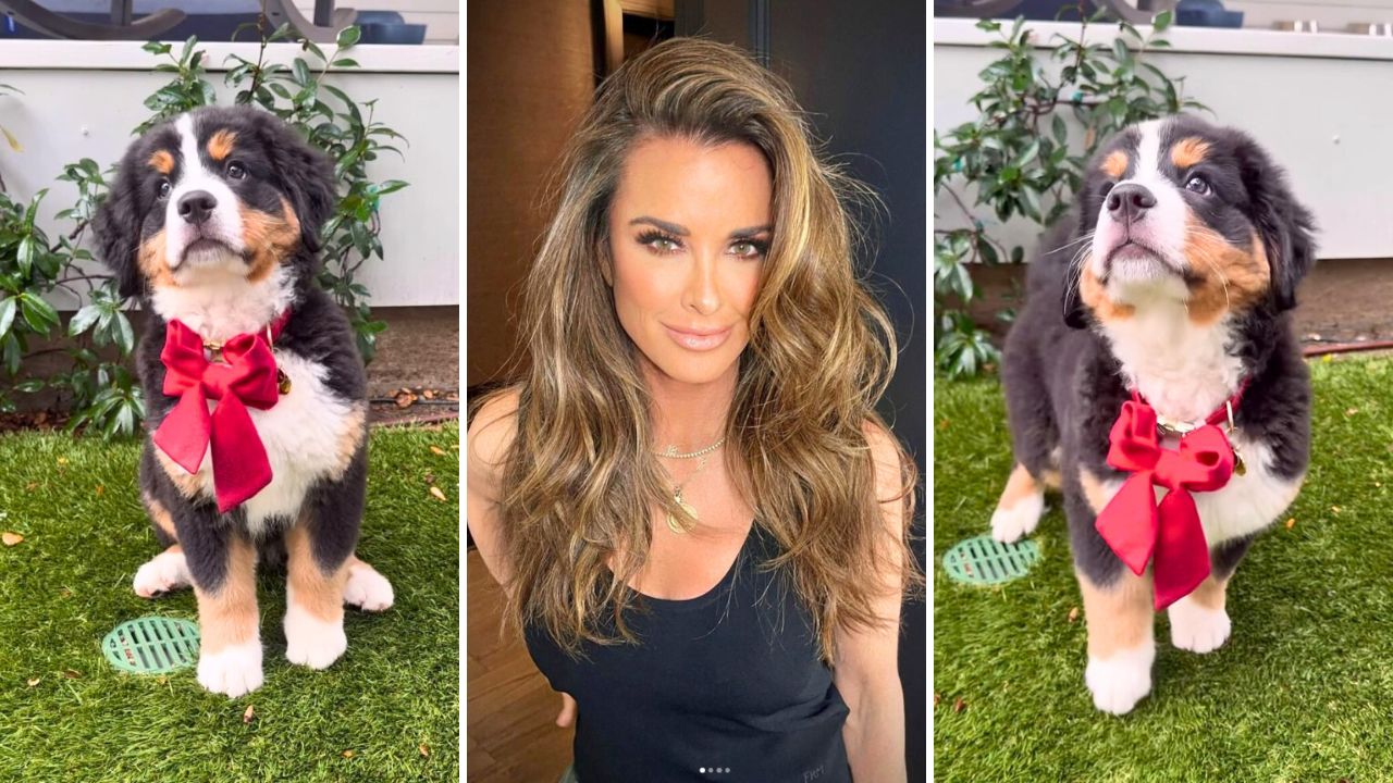 RHOBH Kyle Richards Fosters Then Adopts a Bernese Mountain Dog Puppy From a Fan