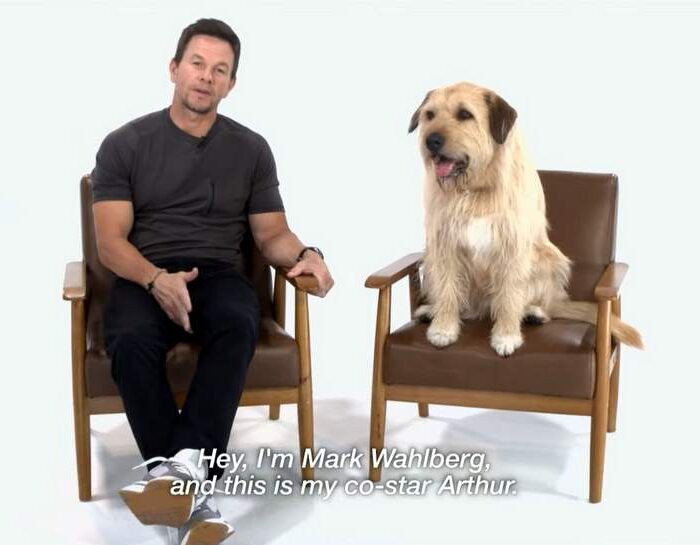 Mark Wahlberg and Arthur the king dog pet adoption video for Best Friends Animal Society