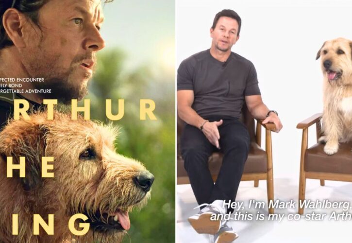 Mark Wahlberg and His Canine CoStar From 'Arthur the King' Promote Pet Adoption in New Video