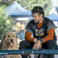 Mark Wahlberg's pet Ukai (Dog from 'Arthur the King')
