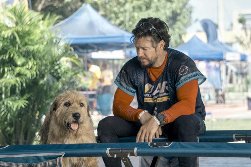 Mark Wahlberg with Arthur the King dog