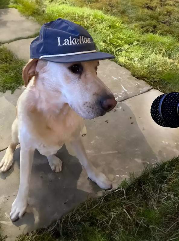 Roy Hawn Russel the dog getting interviewed