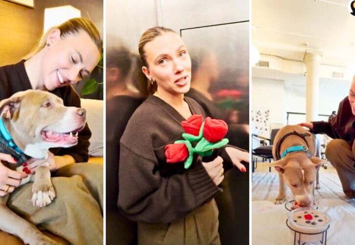 Scarlett Johansson Enjoys a Girls Spa Day With a Senior Shelter Pitbull