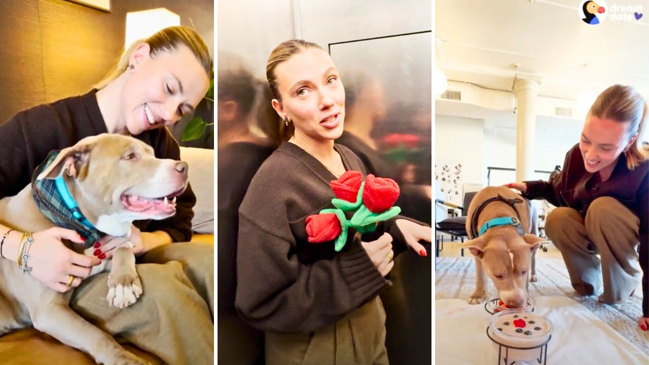 Scarlett Johansson Enjoys a Spa Day With a Senior Shelter Pitbull