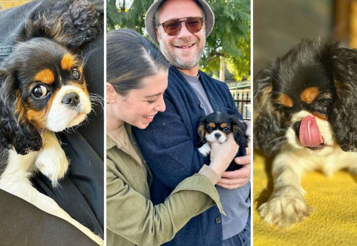 Seth Rogen and Lauren Miller Revealed Their New Puppy Named Ava Burrito