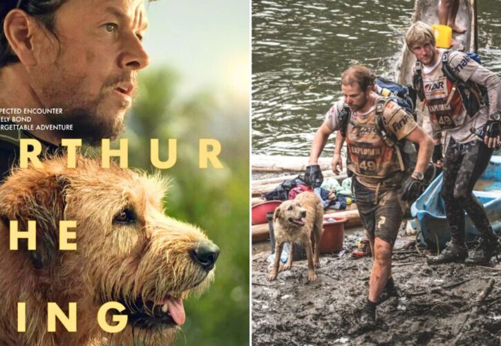 ‘Arthur the King’ – The True Story Behind Mark Wahlberg’s Stray Dog Adventure Movie