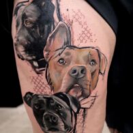 Dave Bautista's pet Pitbull Tattoos