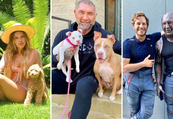 Dave Bautista Was Convinced To Adopt His 4th Pitbull by Millie Bobby Brown and Chris Pratt