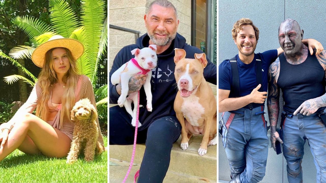 Dave Bautista was convinced to adopt his 4th pitbull by Millie Bobby Brown and Chris Pratt