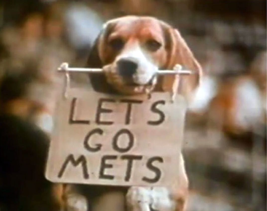 Homer the New York Mets dog mascot