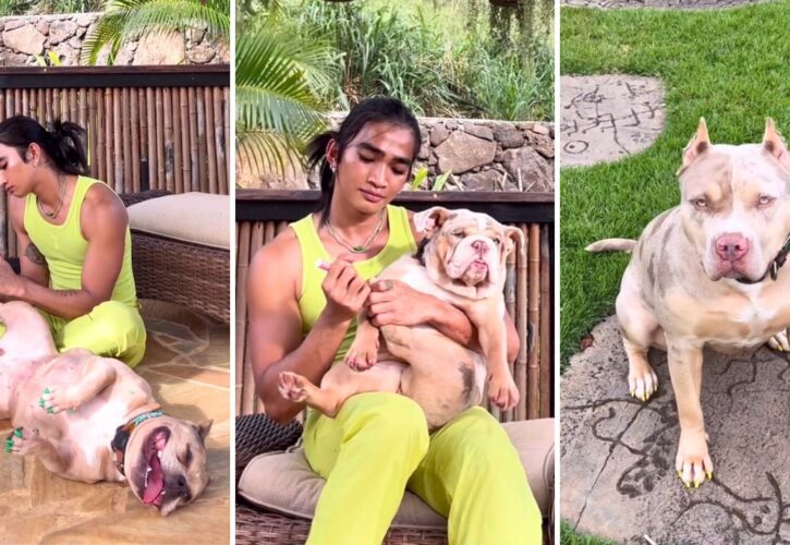 Influencer Bretman Rock Treats His Rescue Pitbulls and Bulldogs to Pedicures and Gossip