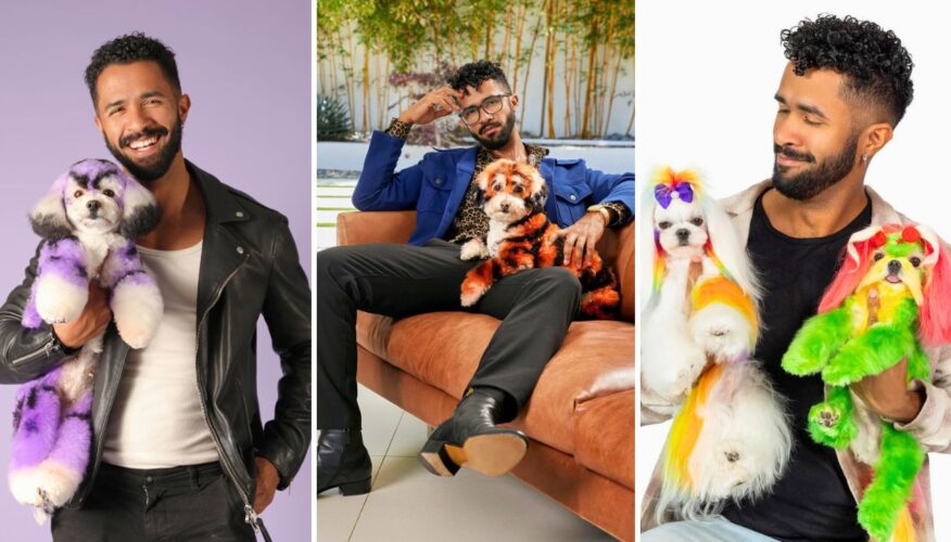 Interview With Gabriel Feitosa: Fusing Pop Art Inspiration and Dog Grooming Innovation