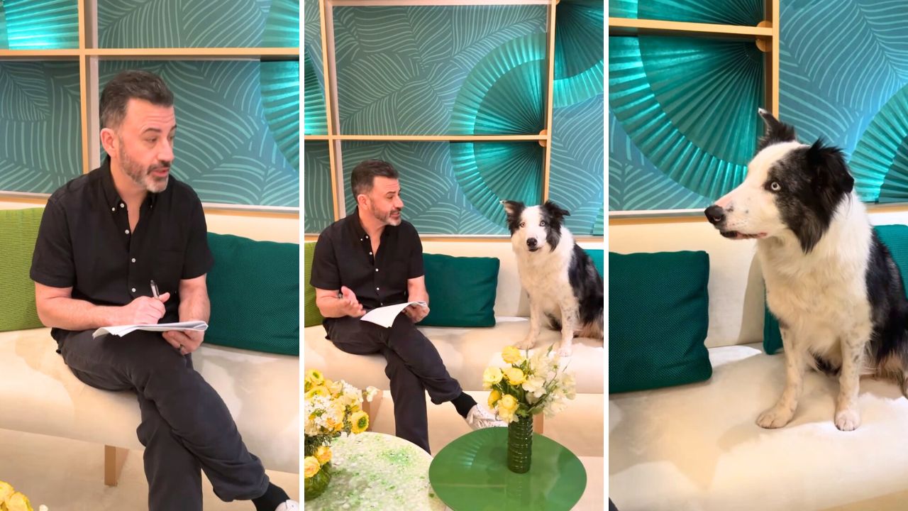Jimmy Kimmel Rehearses Oscars Jokes With Messi, the Dog From ‘Anatomy of a Fall’ and Has a Ruff Time