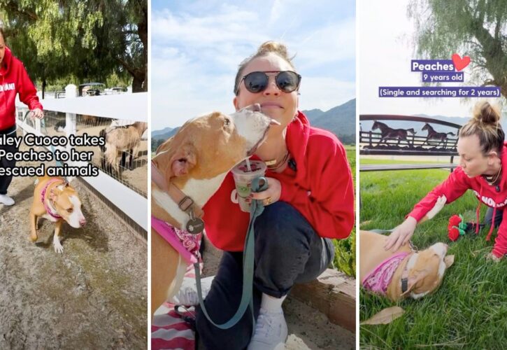 Kaley Cuoco Takes an Adoptable Pitbull for a Date Around Her Rescue Animal Ranch